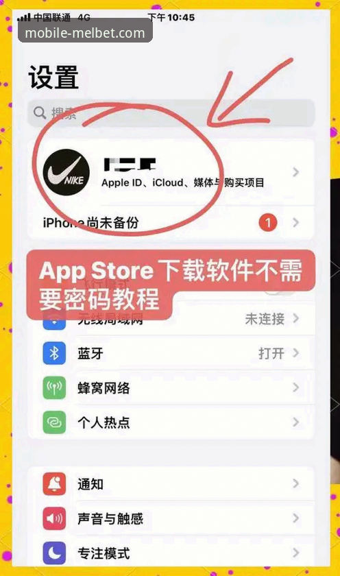 Melbet手机版怎么登录：从下载到使用的完整指南